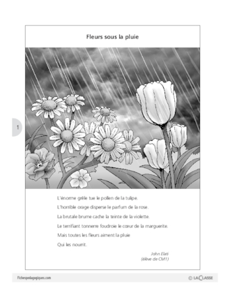 Mots et merveilles (3) / Fleurs sous la pluie