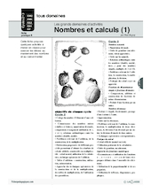 Nombres et calculs (1) / Grands domaines d'activités