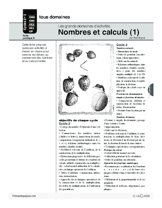 Nombres et calculs (1) / Grands domaines d'activités