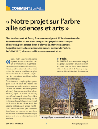 Notre projet sur l’arbre allie sciences et arts