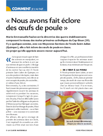 Nous avons fait éclore des oeufs de poule