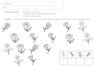 Numération à 5 - fleurs