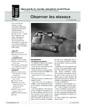 Observer les oiseaux