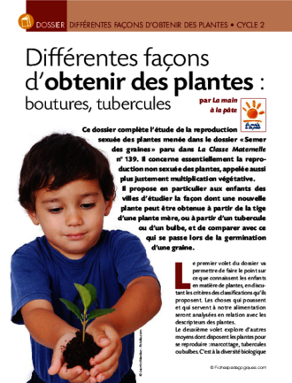 Obtenir des plantes (cycle 2)