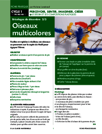 Oiseaux multicolores