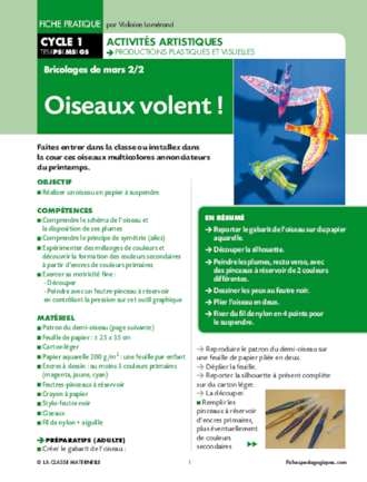 Oiseaux volent !