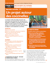 Opération coccinelles (1) Un projet autour des coccinelles