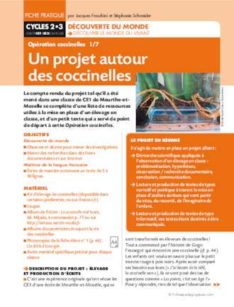 Opération coccinelles (1) Un projet autour des coccinelles