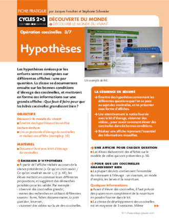 Opération coccinelles (3) Hypothèses