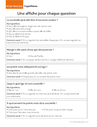 Opération coccinelles (3) Hypothèses