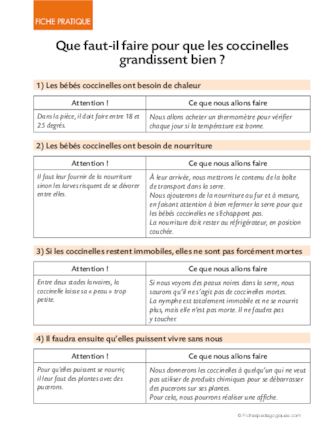 Opération coccinelles (3) Hypothèses