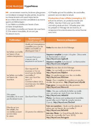 Opération coccinelles (3) Hypothèses