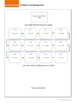 Opération coccinelles (5) Synthèse et prolongement