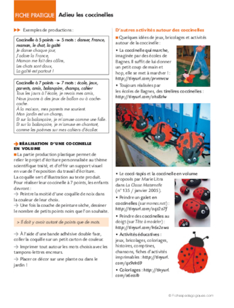 Opération coccinelles (7) Adieu les coccinelles