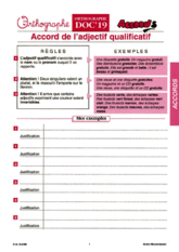 Orthographe CM. Les accords ~ Docs en stock