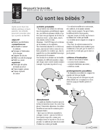 Où sont les bébés?