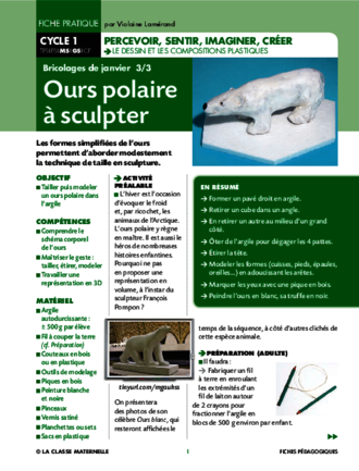 Ours polaire à sculpter