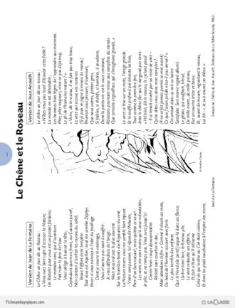 Pack thématique - La forêt (Cycle 3)