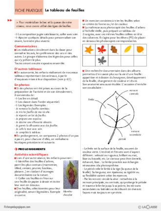 Pas à pas (3) / Le tableau de feuilles