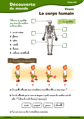 Passerelle CE1 CE2 vivant sciences