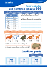 Passerelle CE2 CM1 numération et calcul