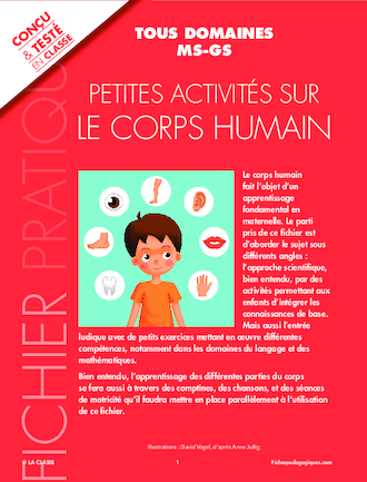 Petites activités sur le corps humain