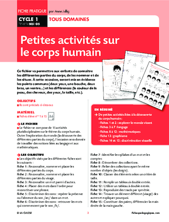 Petites activités sur le corps humain