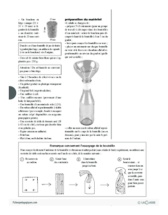 Plantes aromatiques (5) / Céleri séché au gros sel