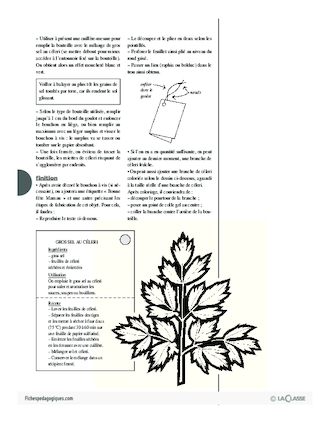 Plantes aromatiques (5) / Céleri séché au gros sel