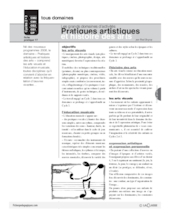 Pratiques artistiques et histoire des arts / Grands domaines d'activités