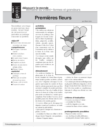 Premières fleurs