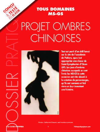 Projet ombres chinoises