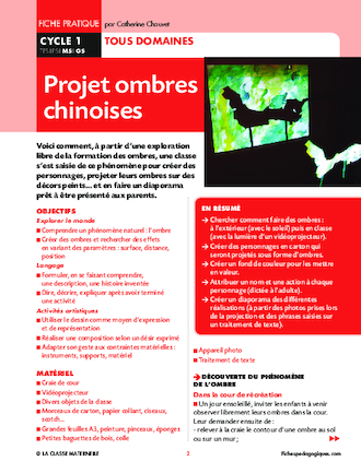 Projet ombres chinoises