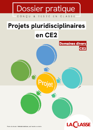 Projets pluridisciplinaires en CE2