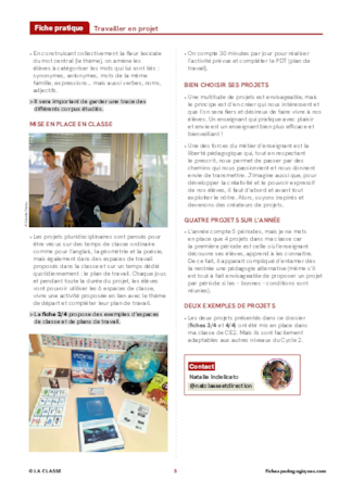 Projets pluridisciplinaires en CE2