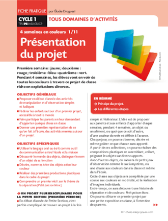 Quatre semaines en couleurs (1). Présentation du projet