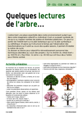 Quelques lectures de l'arbre