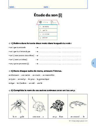 Qui suis-je ? (6 bis) / Le caïman