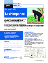 Qui suis-je ? (6) / Le chimpanzé