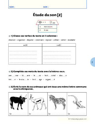 Qui suis-je ? (6) / Le chimpanzé