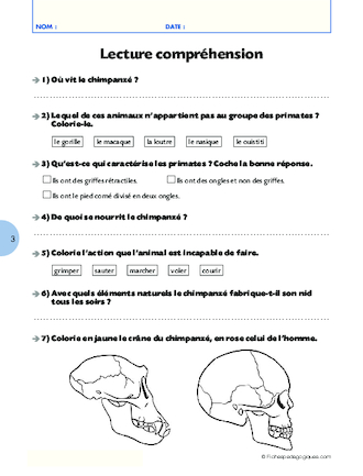 Qui suis-je ? (6) / Le chimpanzé