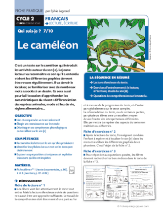 Qui suis-je ? (7) / Le caméléon