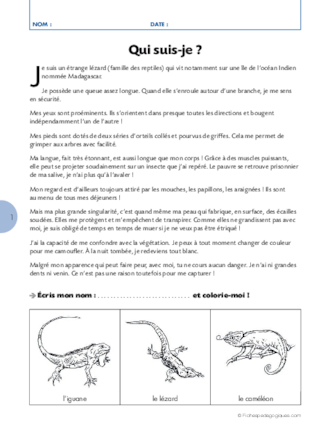 Qui suis-je ? (7) / Le caméléon