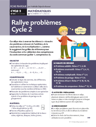 Rallye problèmes