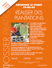 Réaliser des plantations