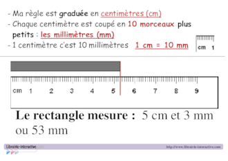 Référent pour l'utilisation de la règle graduée