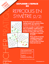 Reproduis en symétrie (2/2)