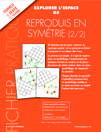 Reproduis en symétrie (2/2)