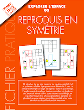 Reproduis en symétrie