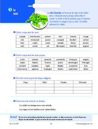 Révisons la grammaire